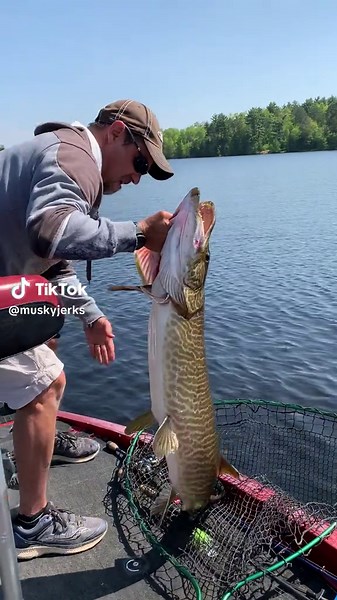 Catch and Release: 47