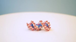 2.6K views · 20 reactions | Created at the Science in 3D festival...