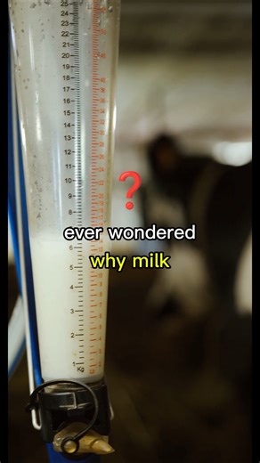 Ever Wondered Why Milk Looks White? (Enzymes Explained) 🥛🔬 #science #biology #enzyme