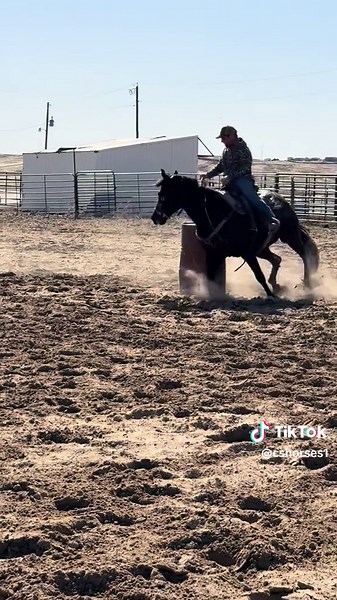 Kitty Boom #barrelhorse #horsesoftiktok #barrelracing #barrelracer #horseoftheday #horsesforsale #barrelhorsesoftiktok #horses #kesha
