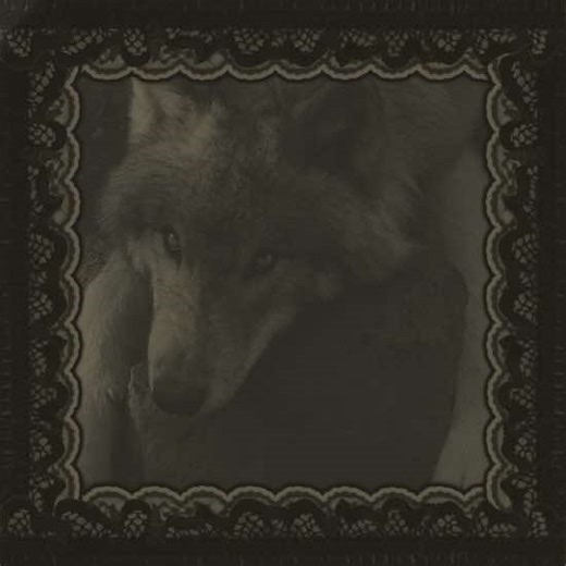 FLOPPY!!!!!! #Wolfquest #gameedit #edit #game #moose