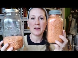 Bulk Food Haul and Organization ~ How I Decide What to Plant in My Garden ~ Garden Tour