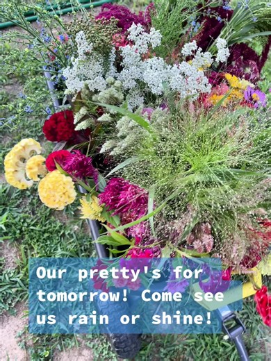Peggy's Patch on TikTok