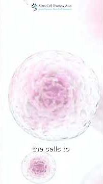 DocTalk Episode 3: What are Exosomes?