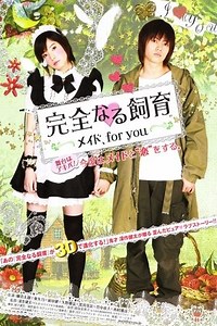 Perfect Education: A Maid for You (2010) - AZ Movies