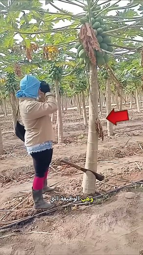 402K views · 1.7K reactions | أغرب مسابقة زواج!  | Summary Expert | Facebook