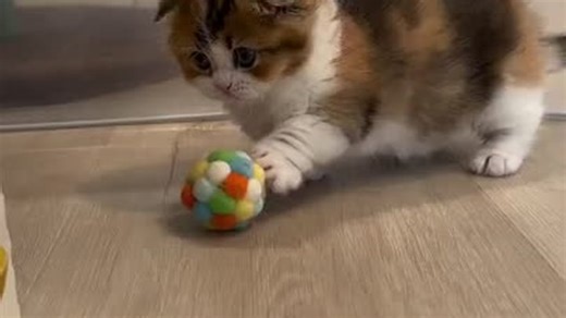Видео MIMI VIDEO | OK.RU