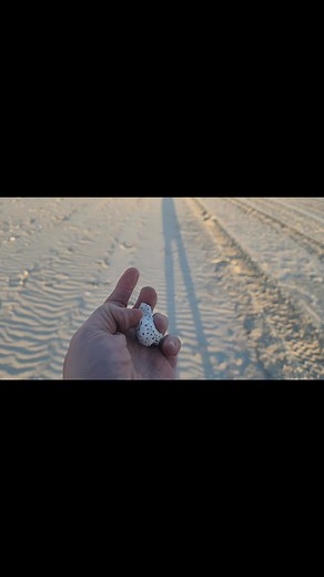 #viralreelschallenge2025viralreelschallengejaiviralreelschallengeviralreelschallenge #fypシ゚viralシfypシ゚ #Godwinks #touchesofgod | Tera Farley