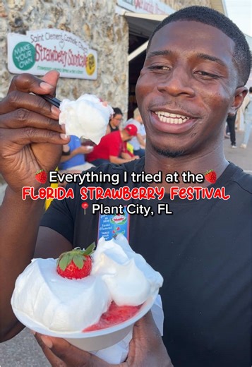 Delicious Treats at the Strawberry Festival in Plant City
