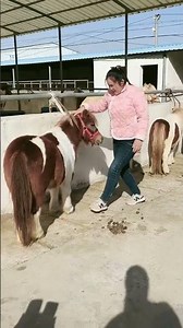 #快成长计划 #潮流生活成长之星 #funny #animals