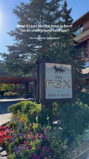 This hotel in Banff has a heated underground cave spa 🪨🚿 We found rates from $112 a night https://l.travelpirates.com/ui38O 🎥 charlieonhistravels (TikTok) #uniquehotels #travelreels #banff #traveler | Travelpirates.com