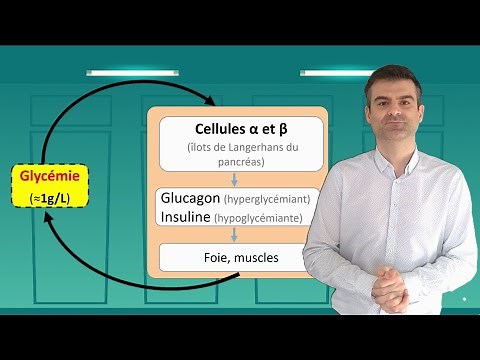 SVT - Terminale Spécialité - Les diabètes, des dysfonctionnements de la régulation glycémique
