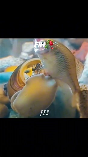 only Fish 🥀😭#funny #meme #viral #comedy