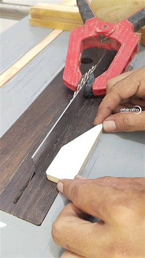 installing anti kick back device on the table saw #woodworking #tips