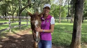 It’s amazing to see Dover with 35 years old running in his paddock 💓🦋🐎 #LucianaDiniz #Dover #horses #happyhorse | Luciana Diniz