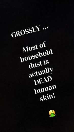 Surprising Facts About Household Dust You Didn't Know