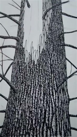 How to Drawing Tree Bark with a Rotting Technical Ink Pen on Watercolor Paper