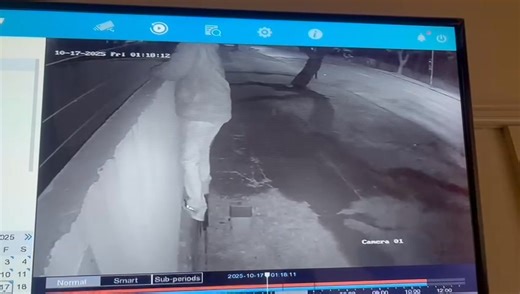 32K views · 224 reactions |  Attempted Break-In | Emmarentia, JHB  Video 2/2 - An attempted break-in occurred at a residence on Barry Hertzog Avenue, Emmarentia, after a suspect cut the electric fence. Homeowners are urged to remain vigilant and report any suspicious activity immediately. #SCPSECURITY #TEAMSCP #EMMARENTIA #CRIMEPREVENTION | Suburban Control Centre | Facebook