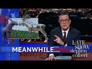 Meanwhile... Canada Moose Vs. Norway Moose