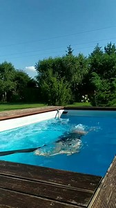 8.8K views · 135 reactions | Stelażowy basen zakopany w ziemi. Nie...