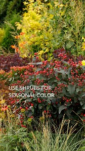 Thought these tips on ways to design with shrubs were too good not to share! Thanks to @MonroviaPlants for the inspiration. | The Arbor Gate