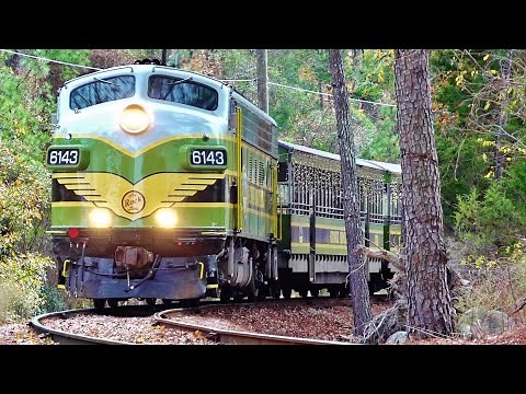 The Stone Mountain Scenic Railroad