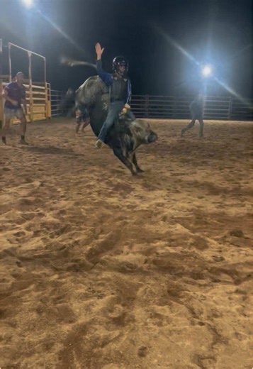 Bull Riding Highlights: Mini Bull Rodeo Action Tonight