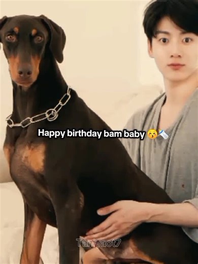 31 August Birthday for bam ℍ𝕒𝕡𝕡𝕪 𝔹𝕚𝕣𝕥𝕙𝕕𝕒𝕪 𝔟𝔞𝔪 𝔹𝕒𝕓𝕪🥳🐕