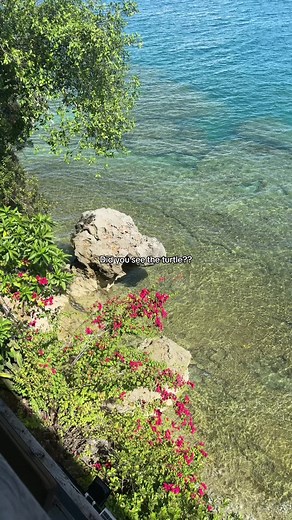 Casa Calma Beach House on TikTok