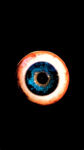 3D Human Eye Anatomy Explained – Quick & Easy Visual Guide #shorts