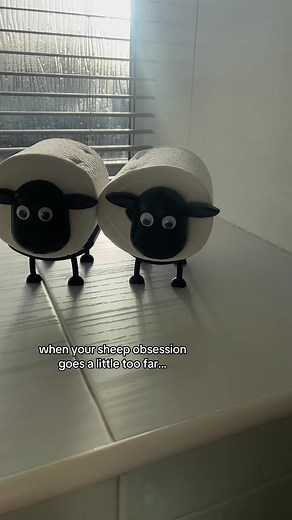 Sheep Obsession: A Country Girl's Love for Lambs