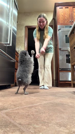 Love spins ❤️ #happy #dance #bestfriend #love #dogtok | dog dancing