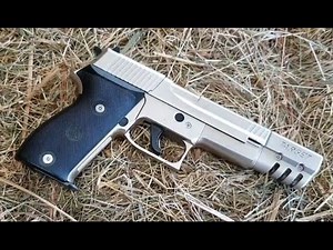 RWS C225 Target - The Airgun Hub