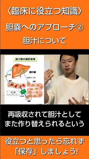 臨床に役立つ知識 胆嚢へのアプローチ② 胆汁について