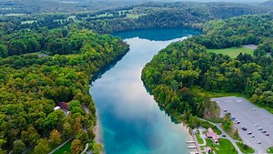 自然 景观 森林 - Free video on Pixabay