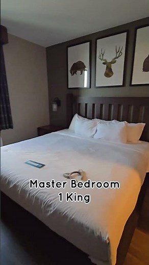 Amazing 2bedroom, 2bathroom Grizzly Bear Suite at Great Wolf Lodge Perryville! #greatwolflodge