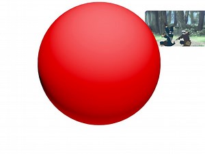 the color game test do not touch