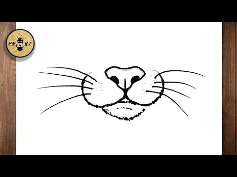 How to draw a cat nose easy step by step
