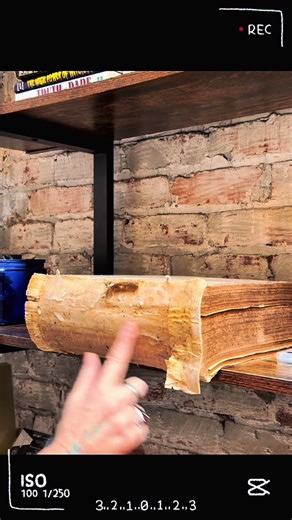 Book Restoration Techniques for Delicate Interiors