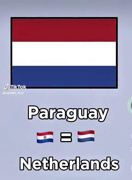 Explore the Beauty of the Netherlands Travel Guide