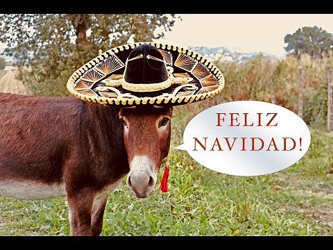 Mi Burrito Sabanero (Merengue version), Villancicos musica y letra