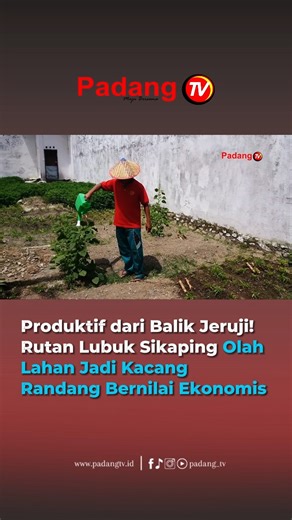 Padang TV | Sumbar | Rumah Tahanan Negara Kelas IIB Lubuk Sikaping, Kabupaten Pasaman, memanfaatkan lahan seluas sekitar 500 meter persegi dengan menanam... | Instagram