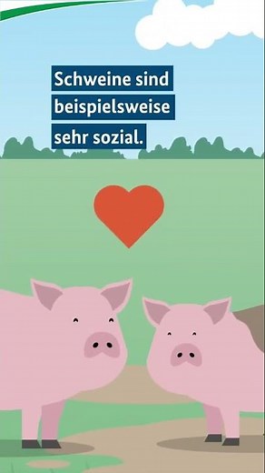 So funktioniert eine artgerechte Tierhaltung im Öko-Landbau #shorts #Öko-Landbau #Biotierhaltung