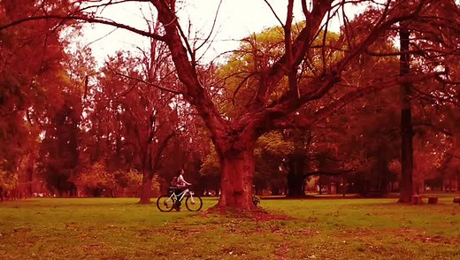 Reserva Natural Los Robles #losrobles #moreno #municipiodemoreno #naturaleza #puravida #familia #reservaecologica #reservanatural