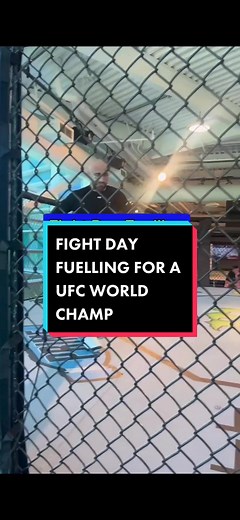 Jordan Sullivan Nutrition on TikTok