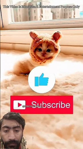 CUTE PUPPY 🥰 #pets #cat #shortsfeed #effect