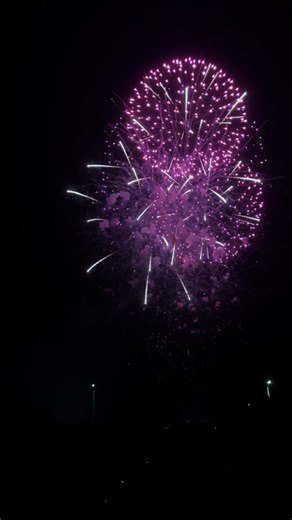 今年の花火を一緒に見る人は？LINE共有で2番目の人が答え