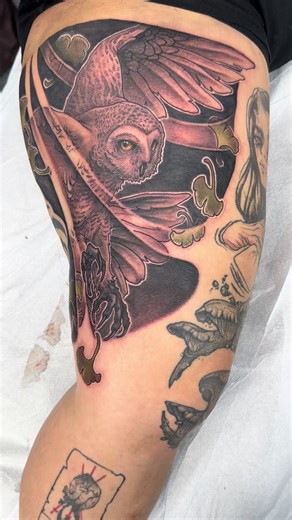 ❊ Owl X Gingko • Largely inspired by a recent painting I made, this concept gets to happily find another home via tattoo • Thank you for making the drive up from Elko, NV, Monica!!! You’re a trooper! • I love to illustrate, paint, sketch and tat birds of all sorts. So don’t be a stranger. Reach out for a bird anything 👍🏽 • Tattoo showcases an owl and windbars, done in black and grey, with some green gingkos and yellow in the owls eyes • Thank you for looking, please, consider booking ❊ ༶ #owl 