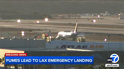 American Airlines flight returns to Los Angeles after report of fumes