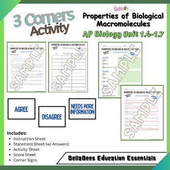 AP Biology Unit 1.4-1.7 - Three Corners Activity: Biological Macromolecules